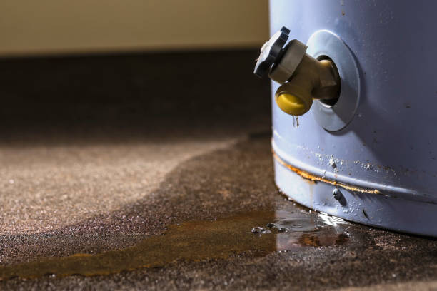 Best 24-hour water damage restoration  in Weissport East, PA