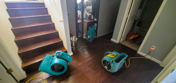 Best Residential water damage restoration  in Weissport East, PA