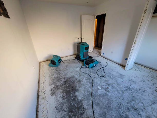 Best Sewage cleanup and water damage restoration  in Weissport East, PA