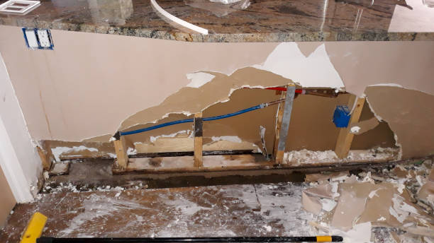 Best Local water damage restoration  in Weissport East, PA