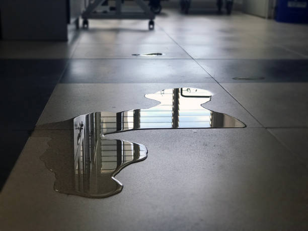 Best Water damage contractors near me  in Weissport East, PA