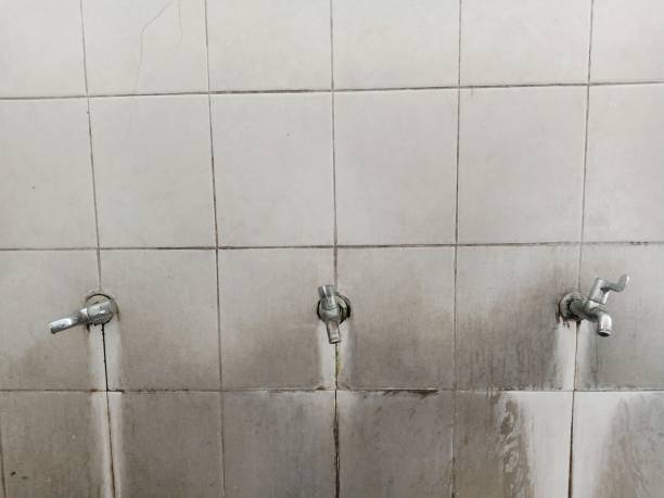 Best Water damage restoration near me  in Weissport East, PA