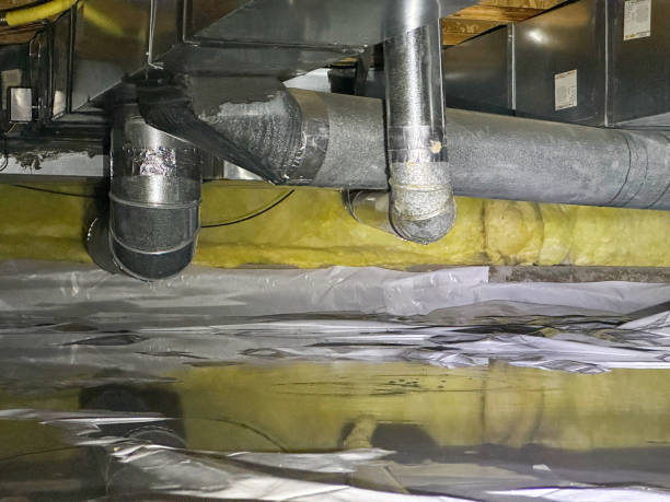 Best Local water damage restoration  in Weissport East, PA
