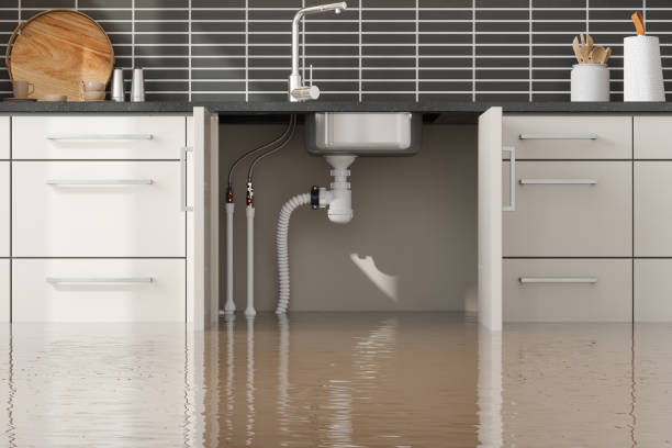 Best Flood restoration services  in Weissport East, PA